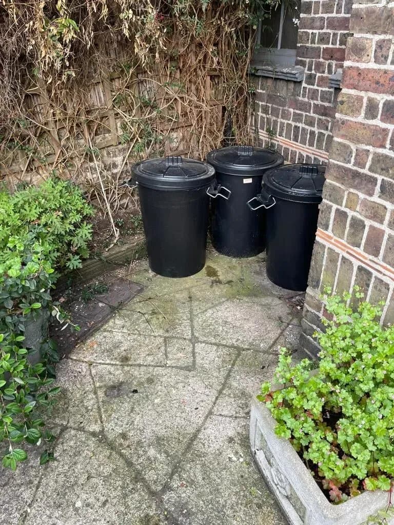 Waste Removal Final Stage
