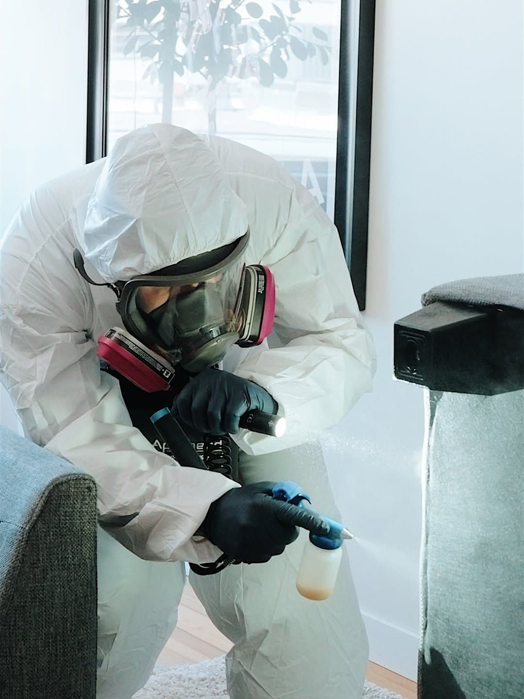 bed-bug-treatment-expert