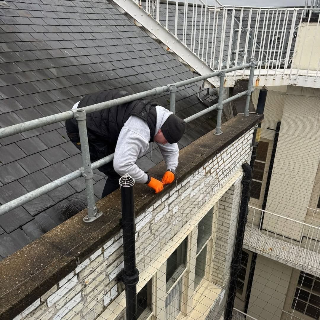 bed-bug-treatment-oj-1