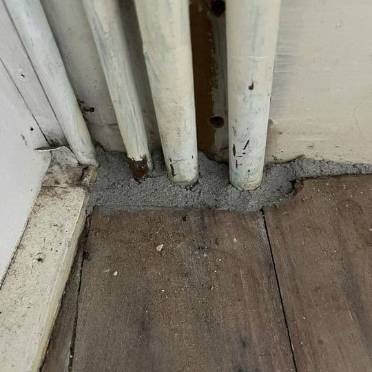 bed-bug-treatment-testimonial-2-after