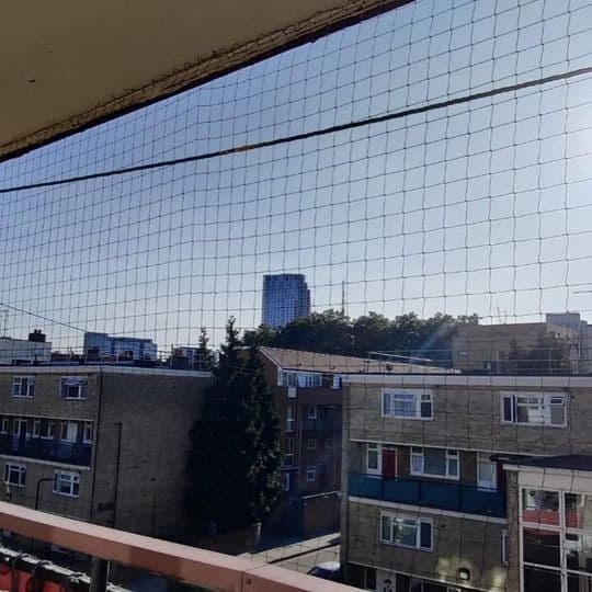 bed-bug-treatment-testimonial-3-after