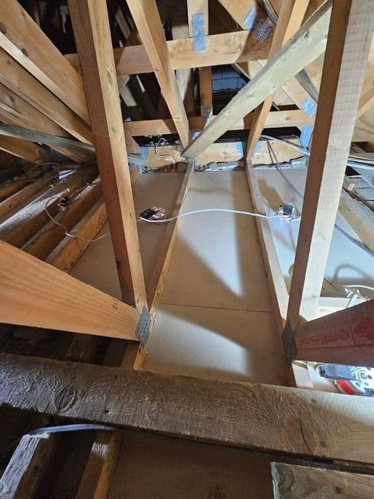 bed-bug-treatment-testimonial-5-after