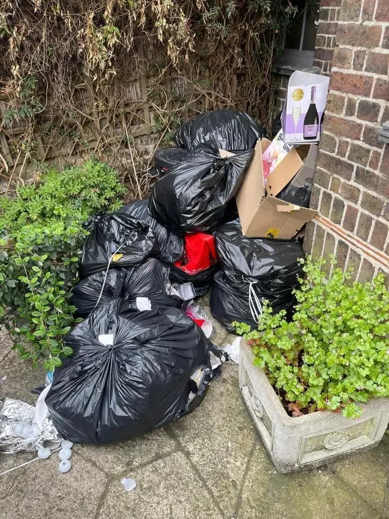 Waste Removal 1st Stage