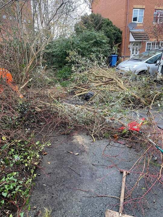 garden waste removal before