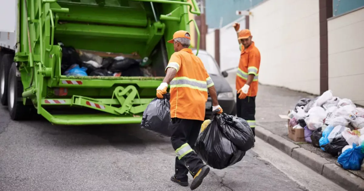 household waste removal expert