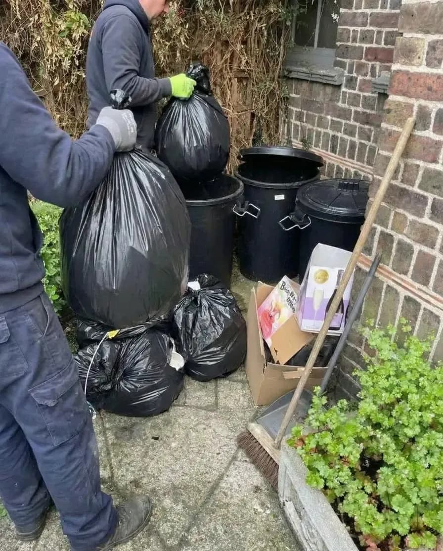 Waste Removal 2nd Stage