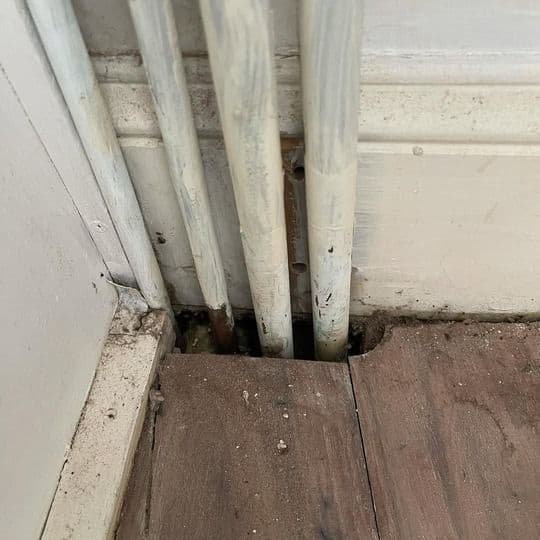 bed-bug-treatment-testimonial-2-before